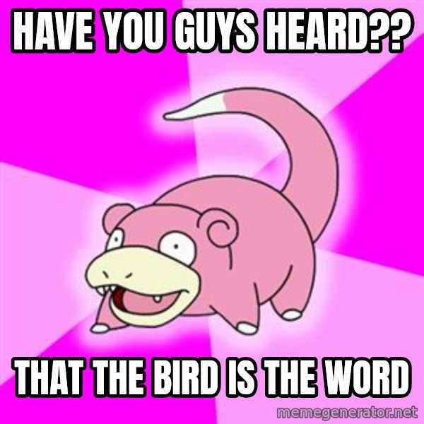Slowpoke meme: HAVE YOU GUYS HEARD?? / THAT THE BIRD IS THE WORD