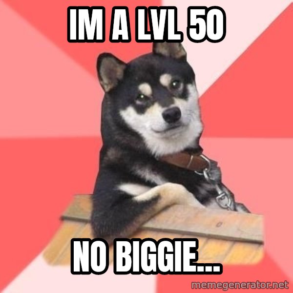 Cool Dog meme: Im a lvl 50 / No biggie...