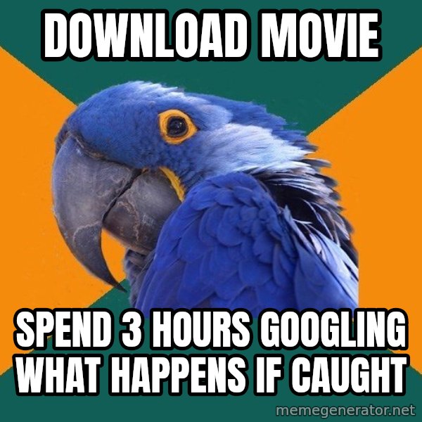 Paranoid Parrot meme: download movie / SPEND 3 HOURS GOOGLING WHAT HAPPENS IF CAUGHT