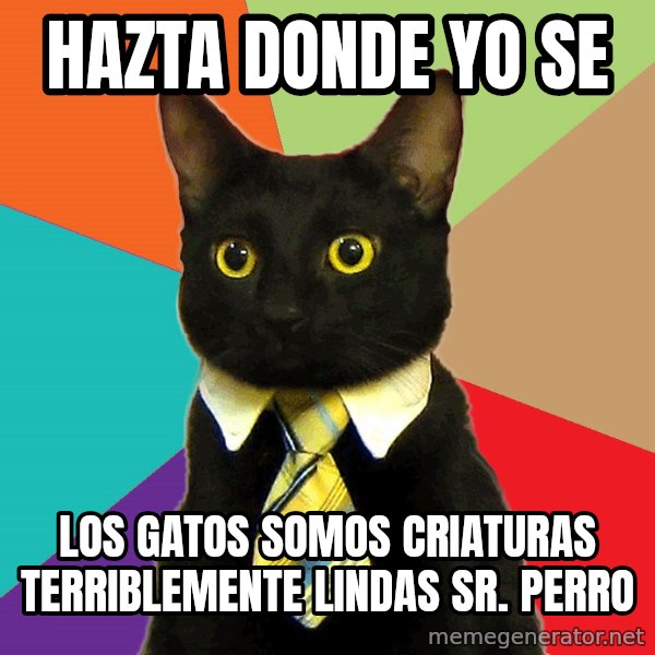 Business Cat meme: HAZTA DONDE YO SE / los gatos somos criaturas terriblemente lindas sr. perro