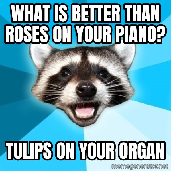 Lame Pun Coon meme: what is better than roses on your piano? / tulips on your organ