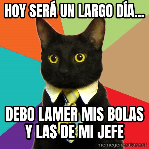 Business Cat meme: HOY SERÁ UN LARGO DÍA... / DEBO LAMER MIS BOLAS Y LAS DE MI JEFE