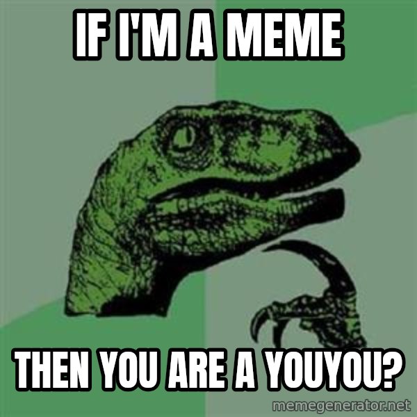 Philosoraptor meme: if i'm a meme / then you are a youyou?