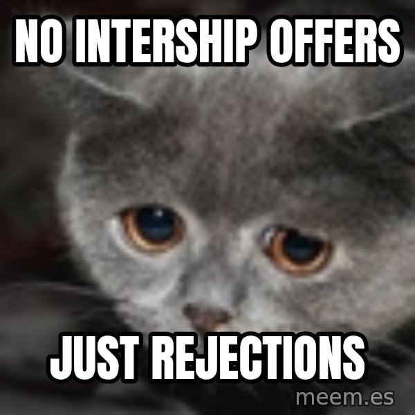 sad cat meme: No intership offers / just rejections