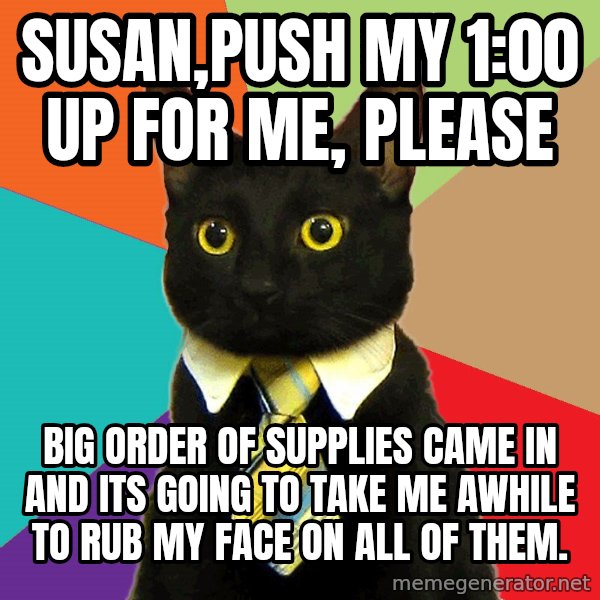 Business Cat meme: susan,push my 1:00 up for me, please / big order of supplies came in and its going to take me awhile to rub my face on all of them.