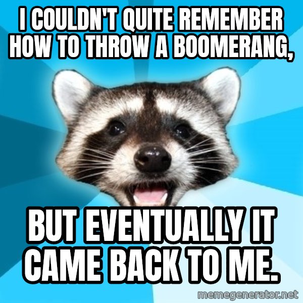 Lame Pun Coon meme: I couldn't quite remember how to throw a boomerang, / BUT EVENTUALLY IT CAME BACK TO ME.