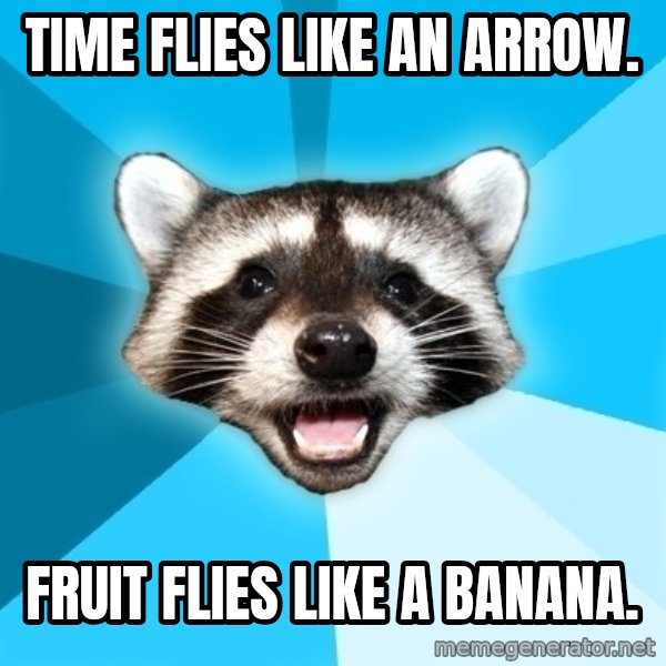 Lame Pun Coon meme: Time flies like an arrow. / FRUIT FLIES LIKE A BANANA.