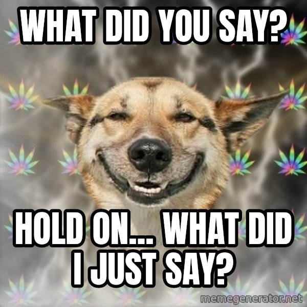 Stoner Dog meme: what did you say? / hold on... what did i just say?