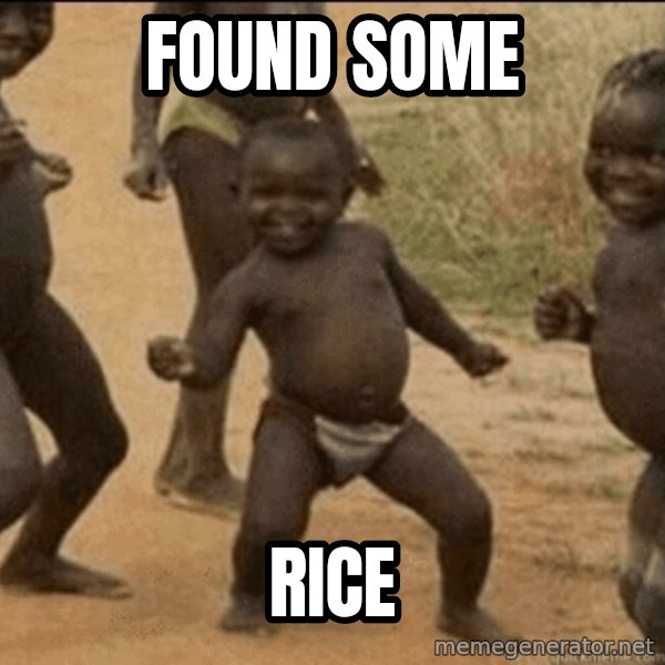 Third World Success meme: found some / rice