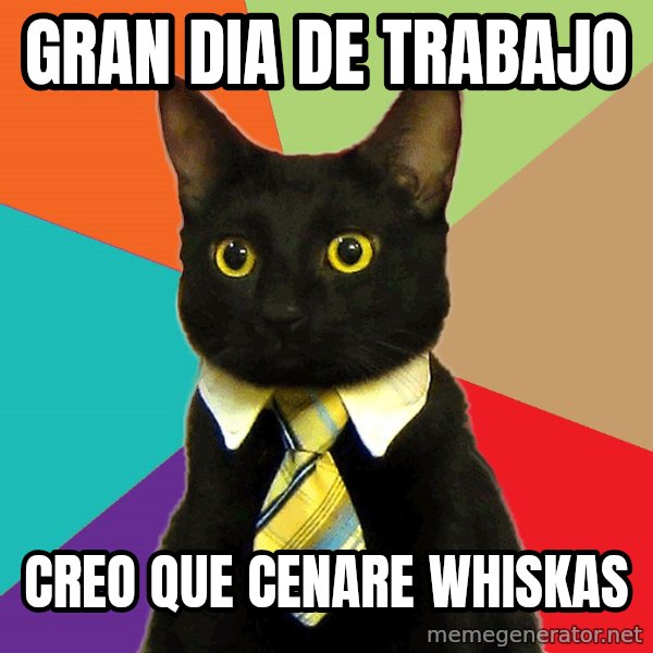 Business Cat meme: Gran dia de trabajo / Creo Que Cenare Whiskas