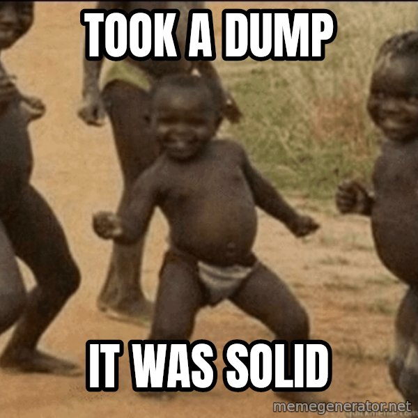 Third World Success meme: took a dump / it was solid