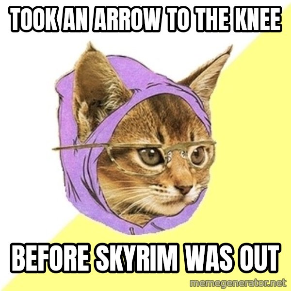 Hipster Kitty meme: TOOK AN ARROW TO THE KNEE / Before skyrim was out