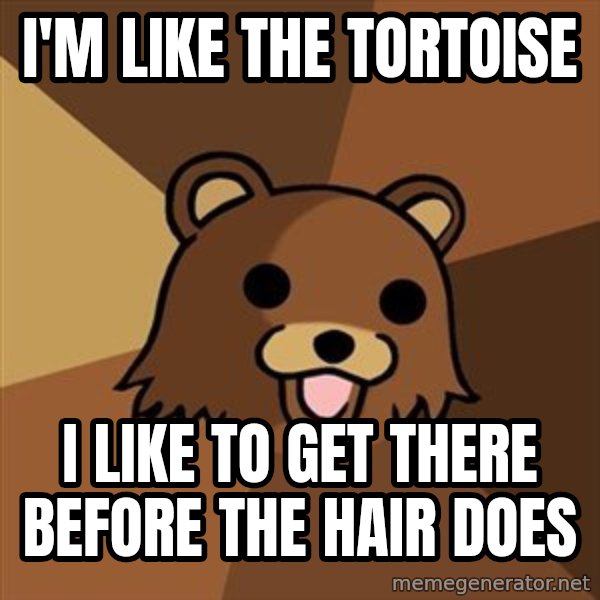 Pedobear meme: I'm like the tortoise / I like to get there before the hair does