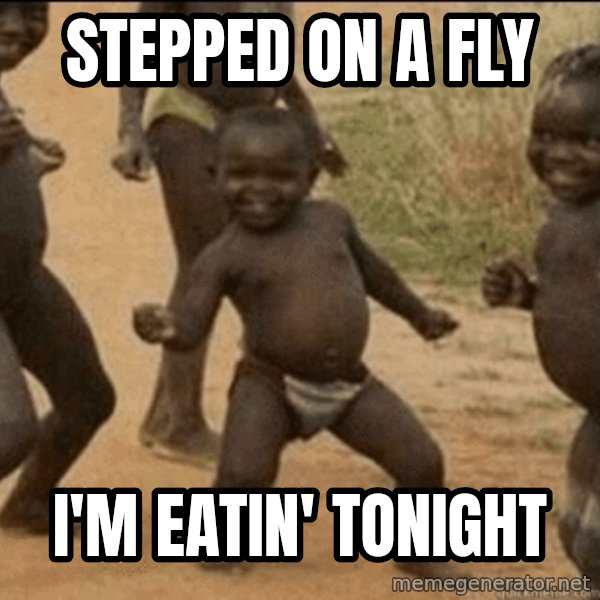 Third World Success meme: Stepped on a fly / i'm eatin' tonight