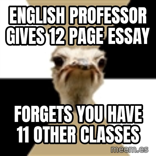 Music Major Ostrich meme: English professor gives 12 page essay / Forgets you have 11 other classes