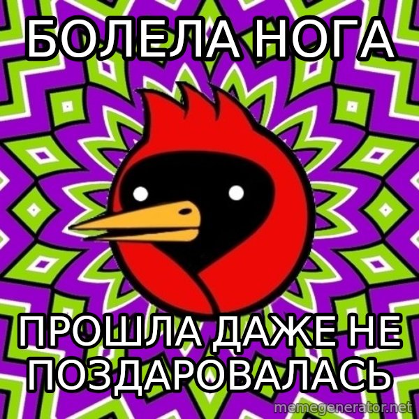 Omsk Crow meme: болела нога / прошла даже не поздаровалась