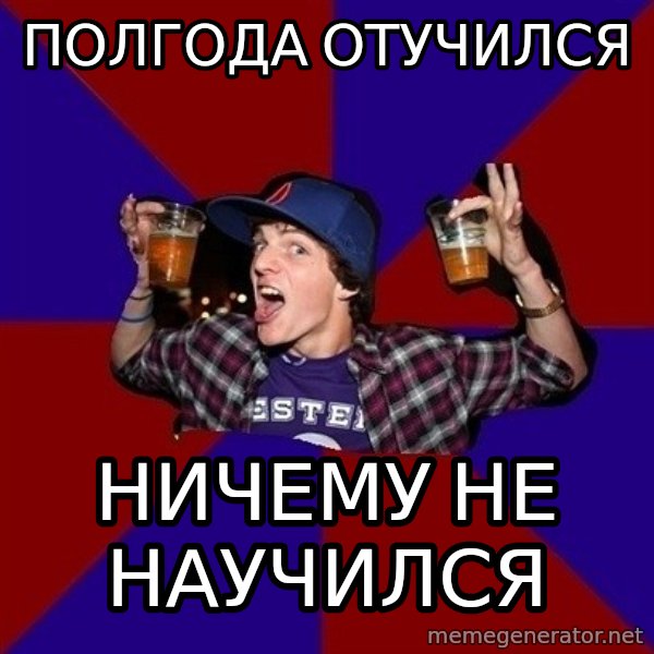 Sunny Student meme: полгода отучился / НИчему не научился