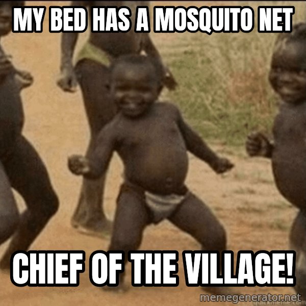 Third World Success meme: my bed has a mosquito net / chief of the village!