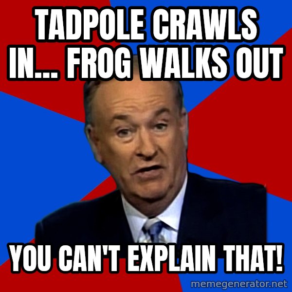 Bill O'Reilly Proves God meme: tadpole crawls in... frog walks out / You can't explain that!