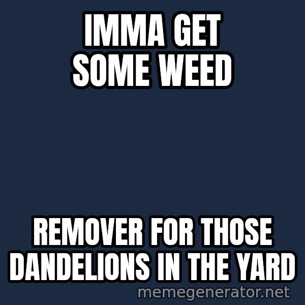 Hood Dad meme: IMMA GET SOME WEED / REMOVER FOR THOSE DANDELIONS IN THE YARD