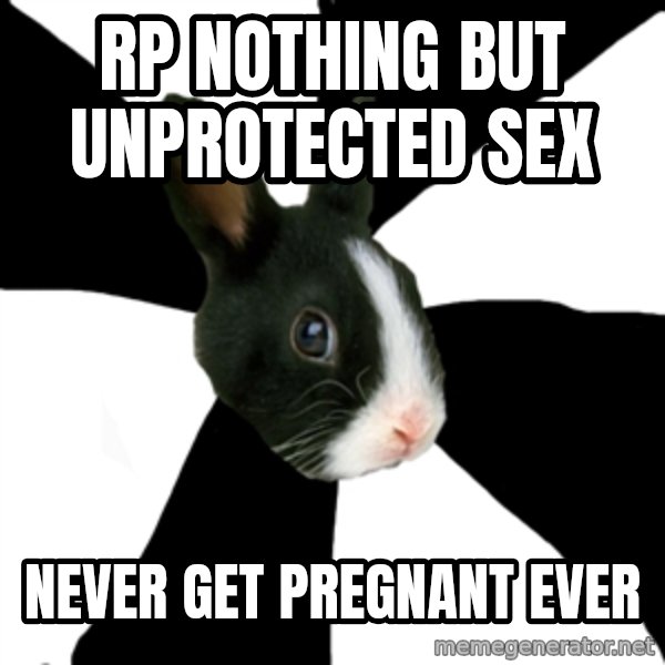 Roleplaying Rabbit meme: RP NOTHING BUT UNPROTECTED SEX / NEVER GET PREGNANT EVER