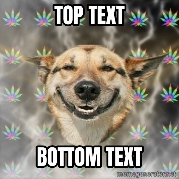 Stoner Dog meme: Top Text / Bottom Text