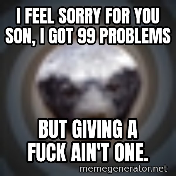 Fearless Honeybadger meme: I feel sorry for you son, I got 99 problems / but giving a fuck ain't one.