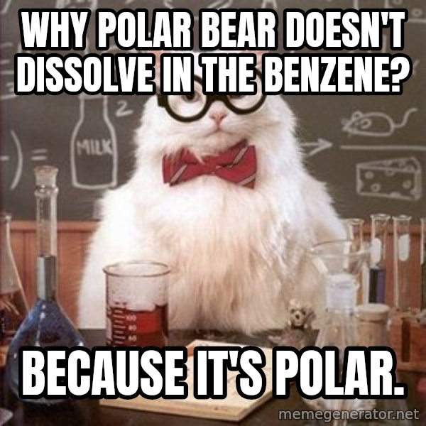 Chemistry Cat meme: Why polar bear doesn't dissolve in the benzene? / Because it's polar.