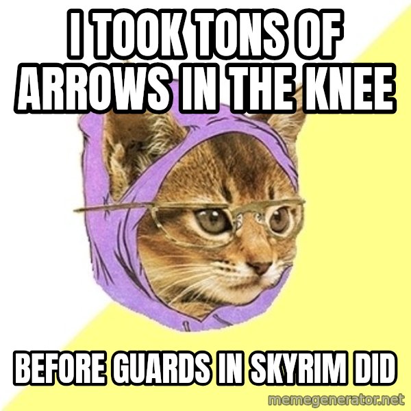Hipster Kitty meme: I took tons of arrows in the knee / before guards in skyrim did