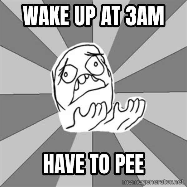 Whyyy??? meme: wake up at 3am / have to pee