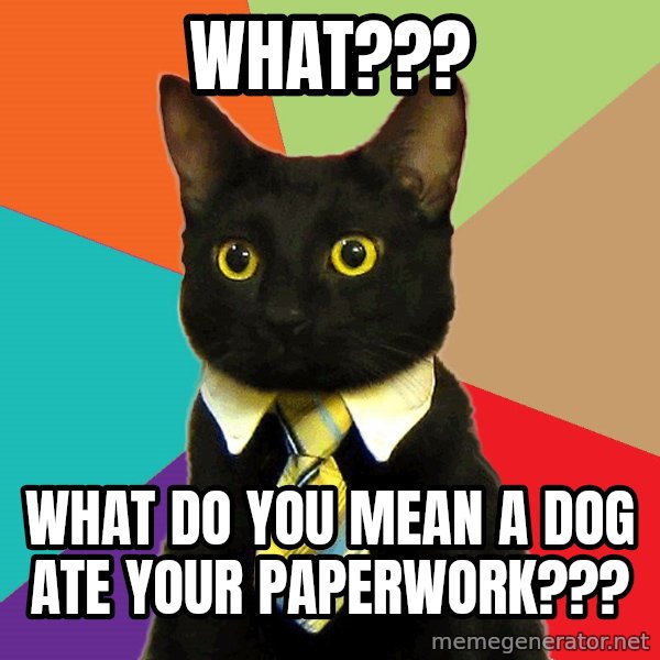 Business Cat meme: What??? / What do you mean a dog ate your paperwork???