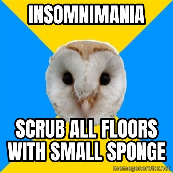 Bipolar Owl meme: INSOMNIMANIA / SCRUB ALL FLOORS WITH SMALL SPONGE