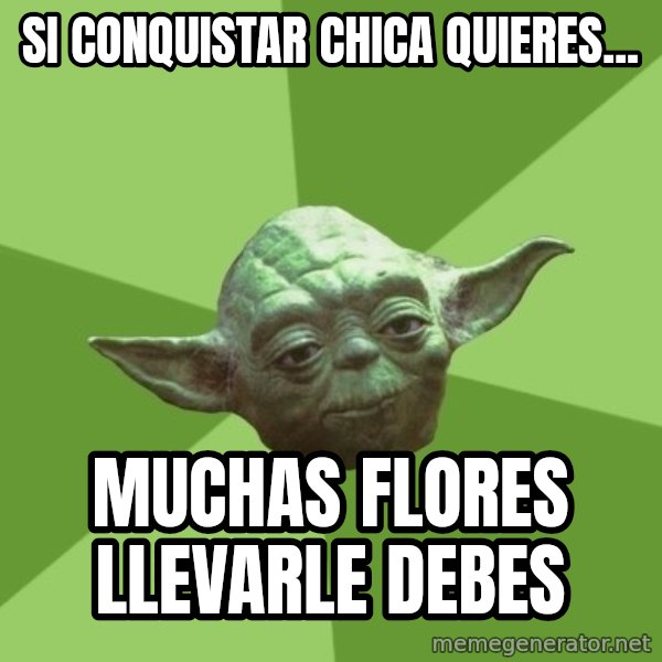 Advice Yoda Gives meme: si conquistar chica quieres... / muchas flores llevarle debes