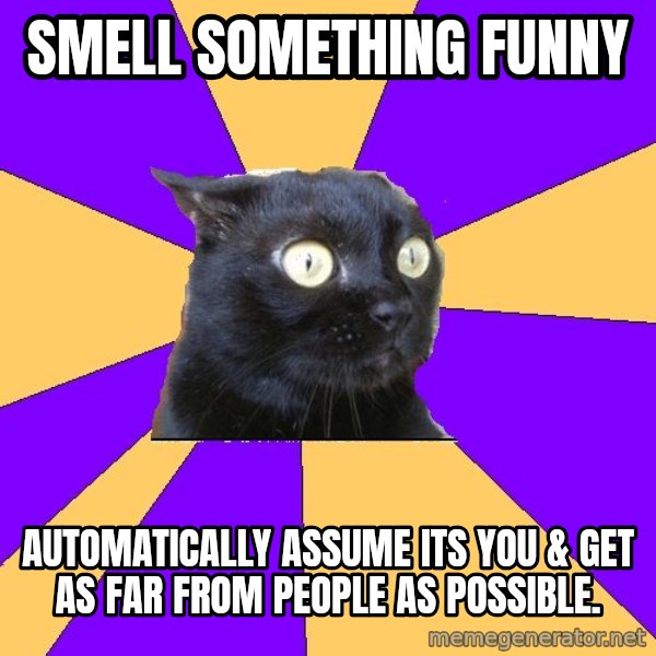 Anxiety Cat meme: Smell something funny / automatically assume its you & get as far from people as possible.