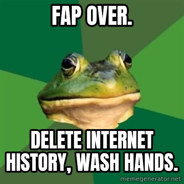Foul Bachelor Frog meme: Fap over. / delete internet history, wash hands.