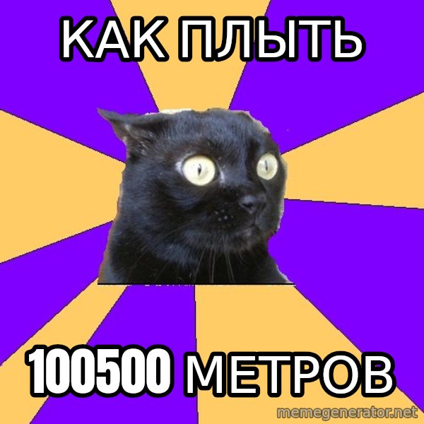 Anxiety Cat meme: как плыть / 100500 метров