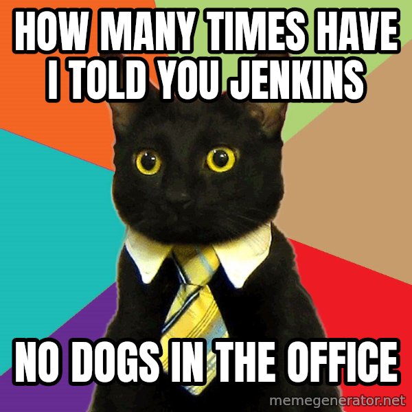 Business Cat meme: how many times have i told you jenkins / no dogs in the office