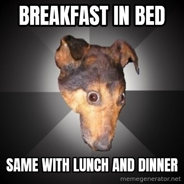 Depression Dog meme: breakfast in bed / same with lunch and dinner