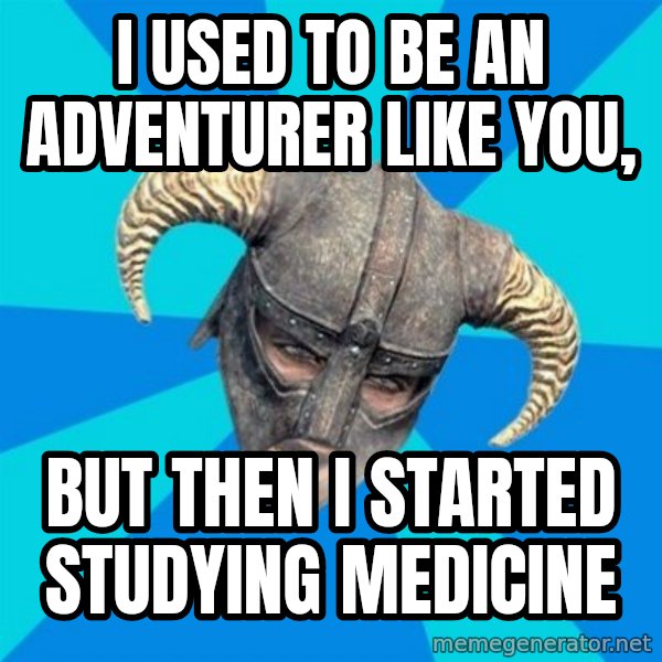 skyrim stan meme: i used to be an adventurer like you, / but then i started studying medicine