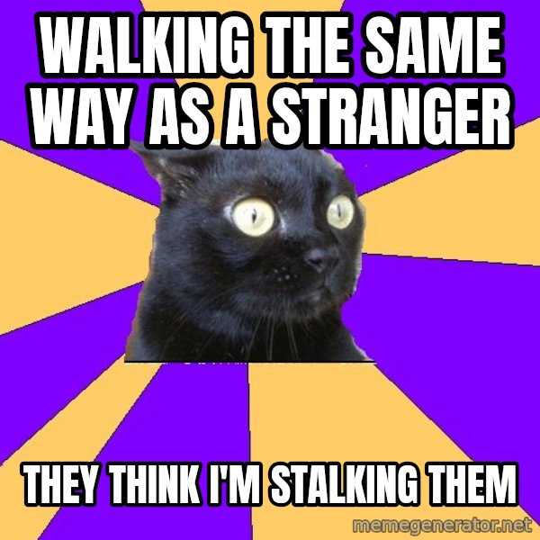 Anxiety Cat meme: walking the same way as a stranger / they think i'm stalking them