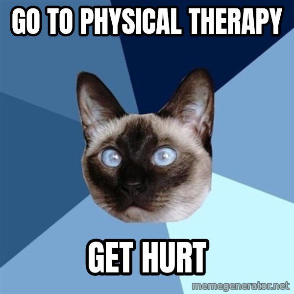 Chronic Illness Cat meme: Go to physical therapy / get hurt