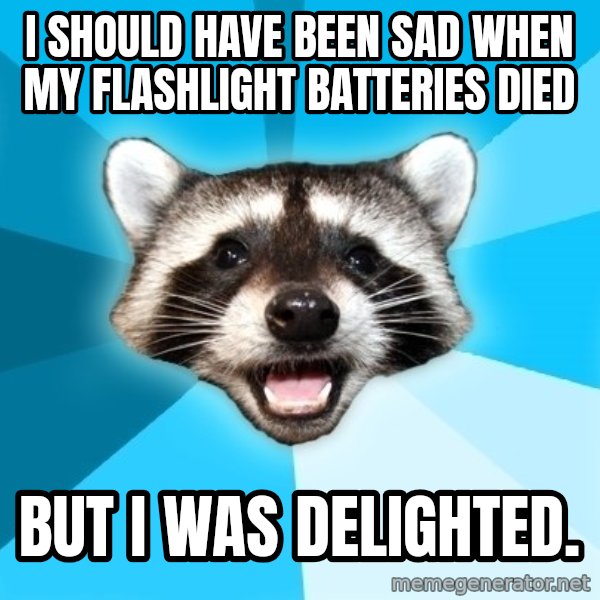 Lame Pun Coon meme: I should have been sad when my flashlight batteries died / BUT I WAS DELIGHTED.