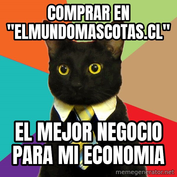 Business Cat meme: cOMPRAR EN  "elmundomascotas.cl" / el mejor negocio para mi economia