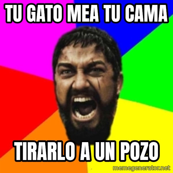 sparta meme: tu gato mea tu cama / tirarlo a un pozo