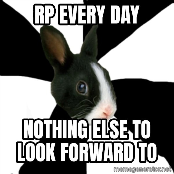 Roleplaying Rabbit meme: RP EVERY DAY / NOTHING ELSE TO LOOK FORWARD TO