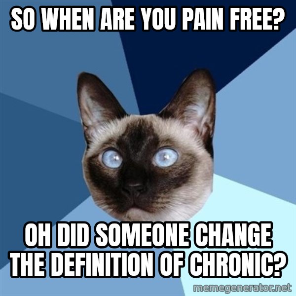 Chronic Illness Cat meme: SO WHEN ARE YOU PAIN FREE? / oh did someone change the definition of chronic?