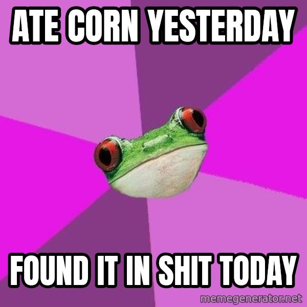 Foul Bachelorette Frog meme: ate corn yesterday / found it in shit today