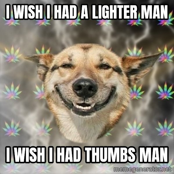 Stoner Dog meme: I wish i had a lighter man / I wish i had thumbs man