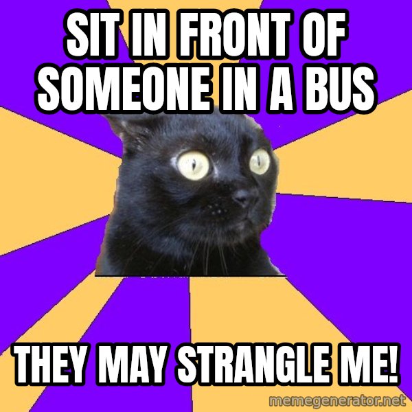 Anxiety Cat meme: sit in front of someone in a bus / they may strangle me!