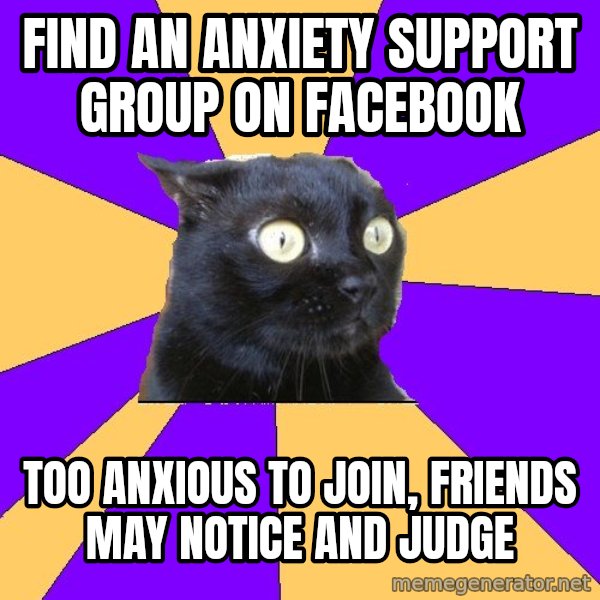 Anxiety Cat meme: find an anxiety support group on facebook / too anxious to join, friends may notice and judge